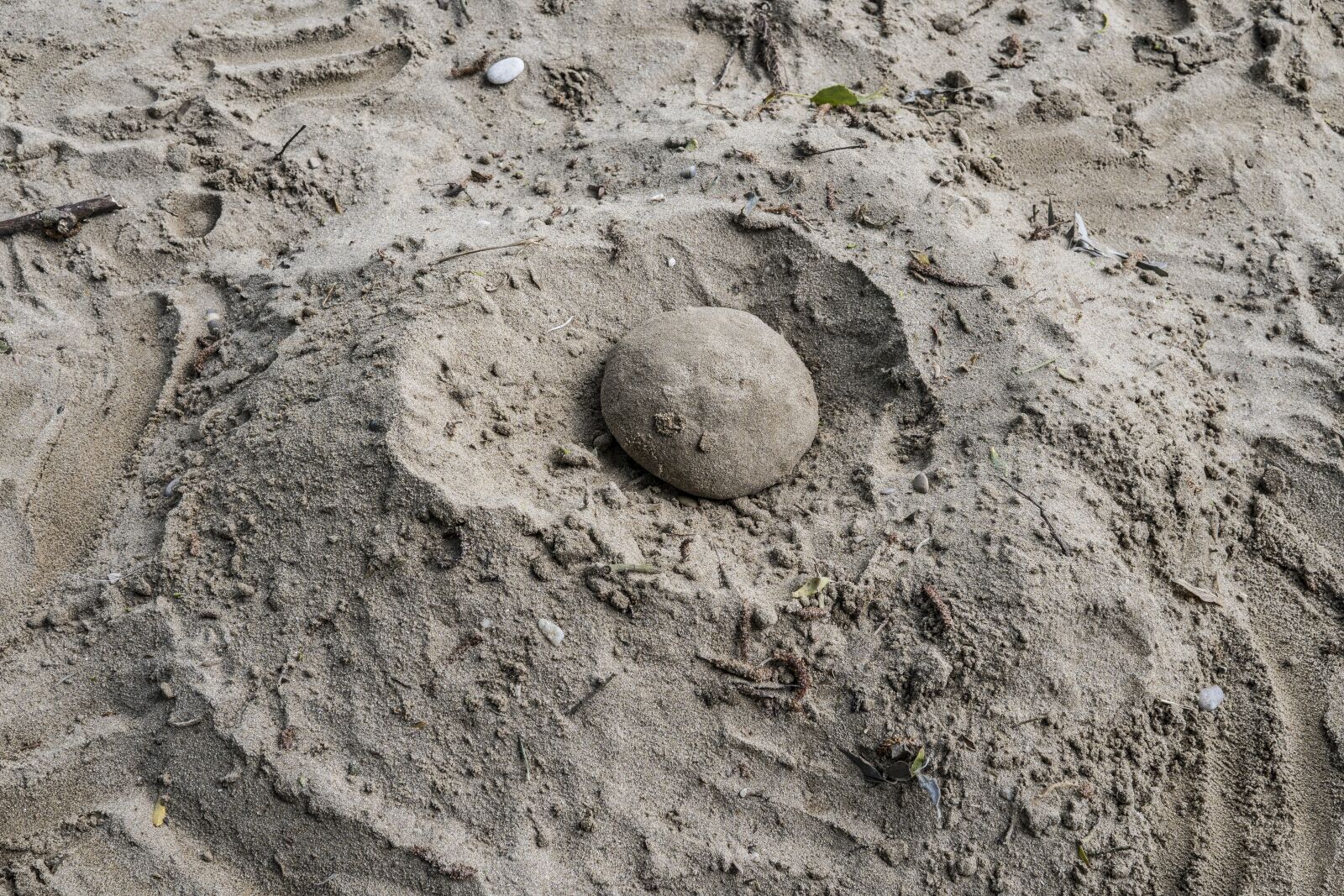 Sony a6300 + Sigma 30mm F2.8 EX DN sample photo. Sand ball, beach, play photography