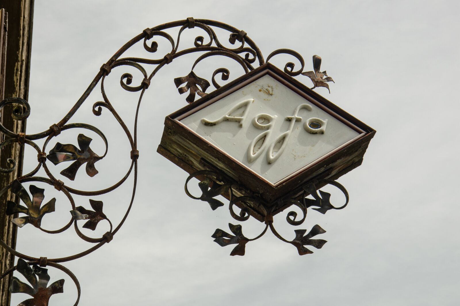 Nikon D5100 sample photo. Nasal signs, commercial signs photography