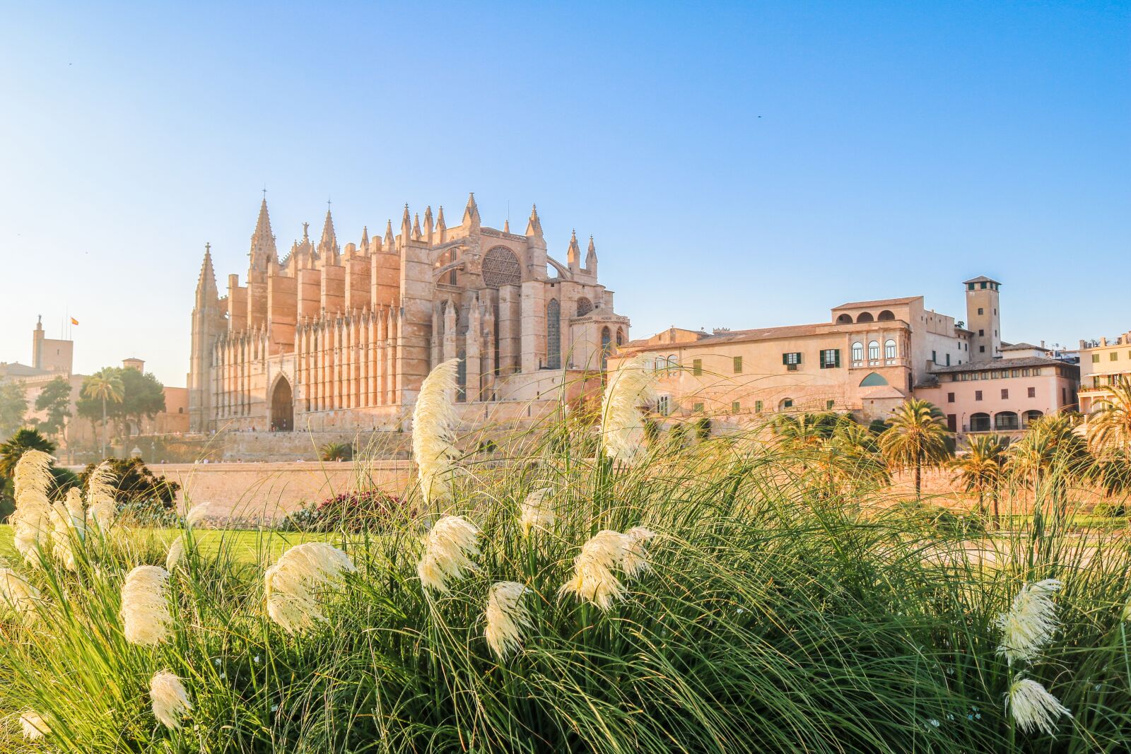 Canon EOS 750D (EOS Rebel T6i / EOS Kiss X8i) sample photo. Mallorca, cathedral, palma photography