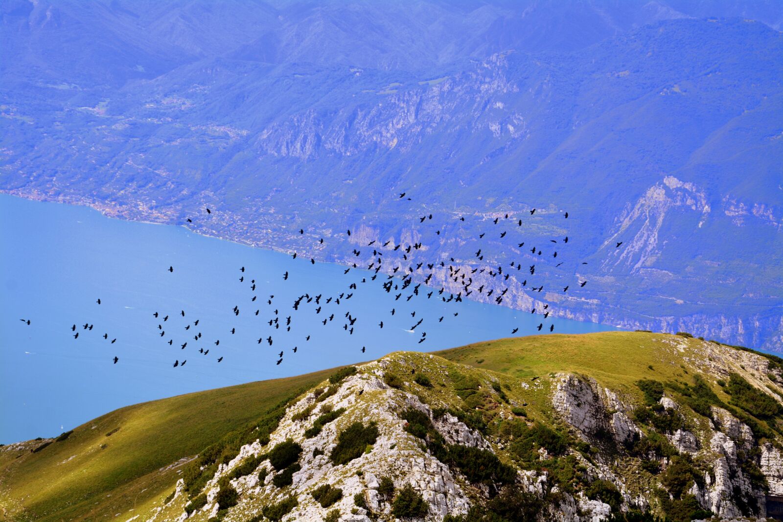 Nikon D7100 sample photo. Birds, flock, mountains photography