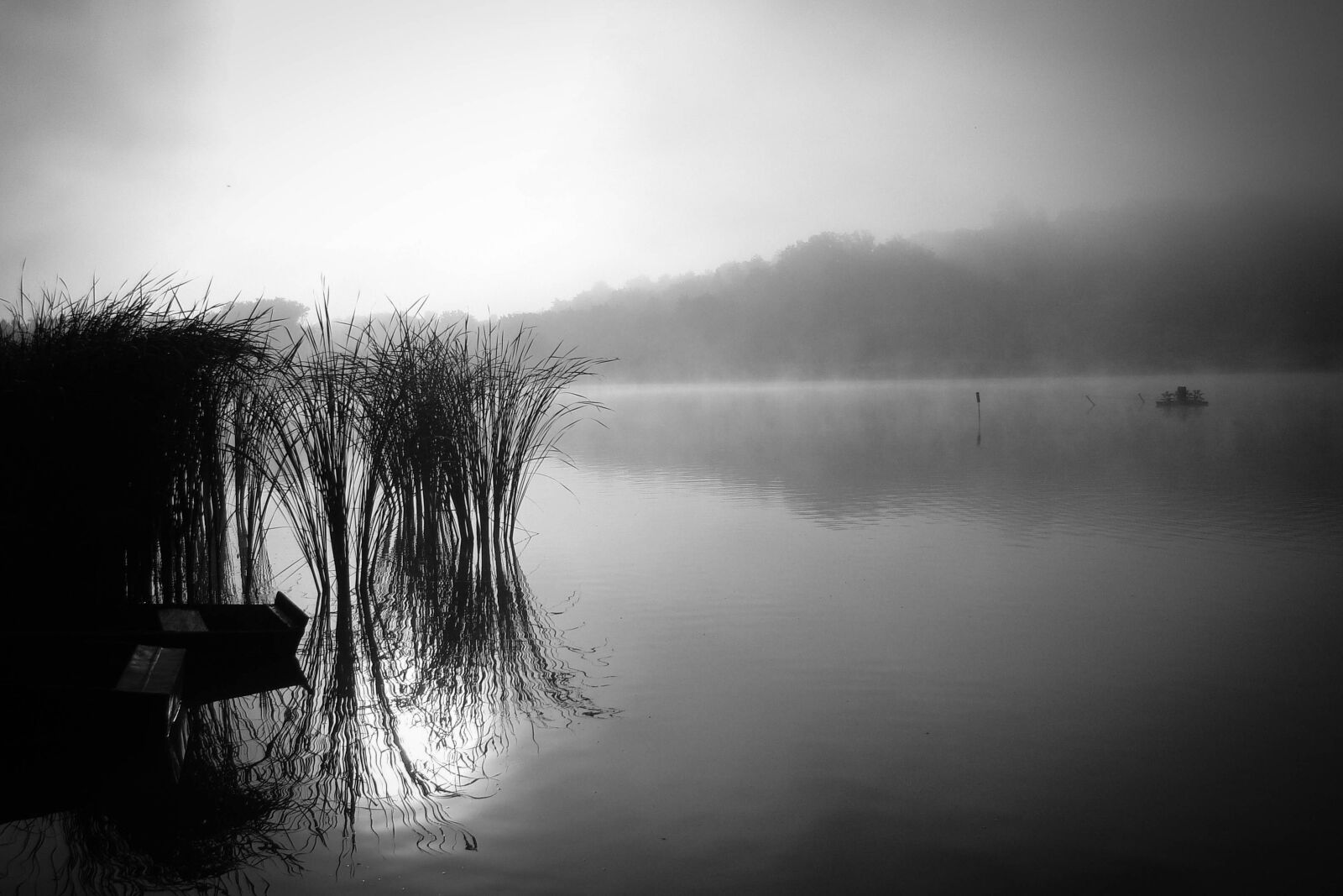 Sony Cyber-shot DSC-H50 sample photo. Dawn, lakeside, nature photography