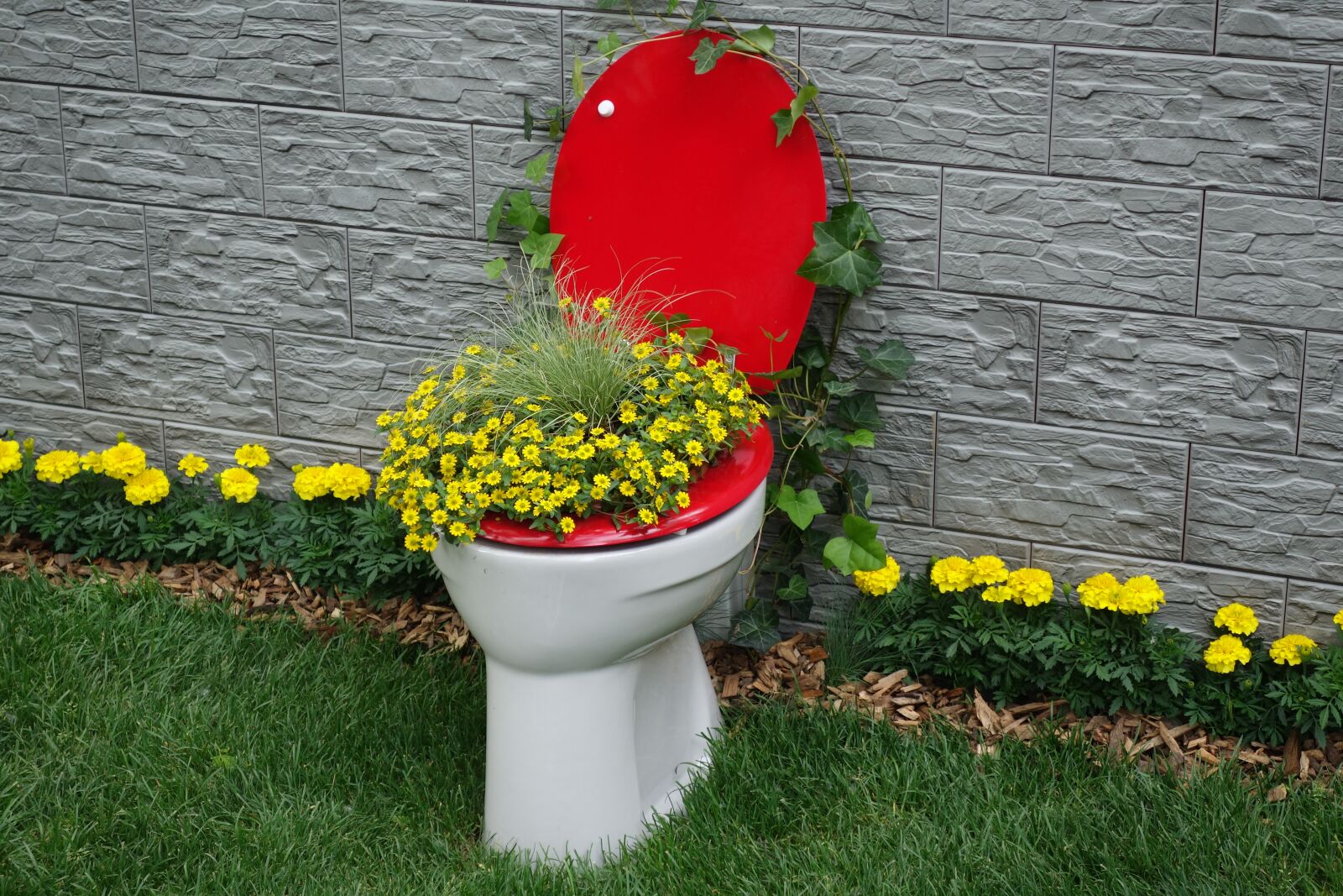 Sony Cyber-shot DSC-RX100 II sample photo. Toilet, flower exhibition, floraart photography