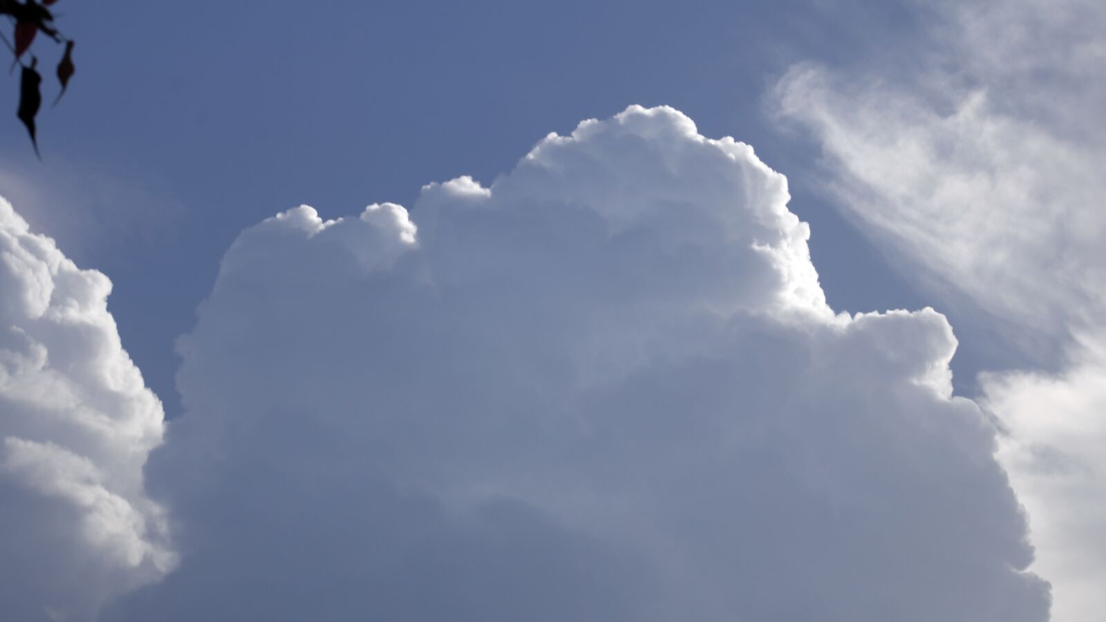 Canon EOS 750D (EOS Rebel T6i / EOS Kiss X8i) sample photo. Sky, cloud, tree photography