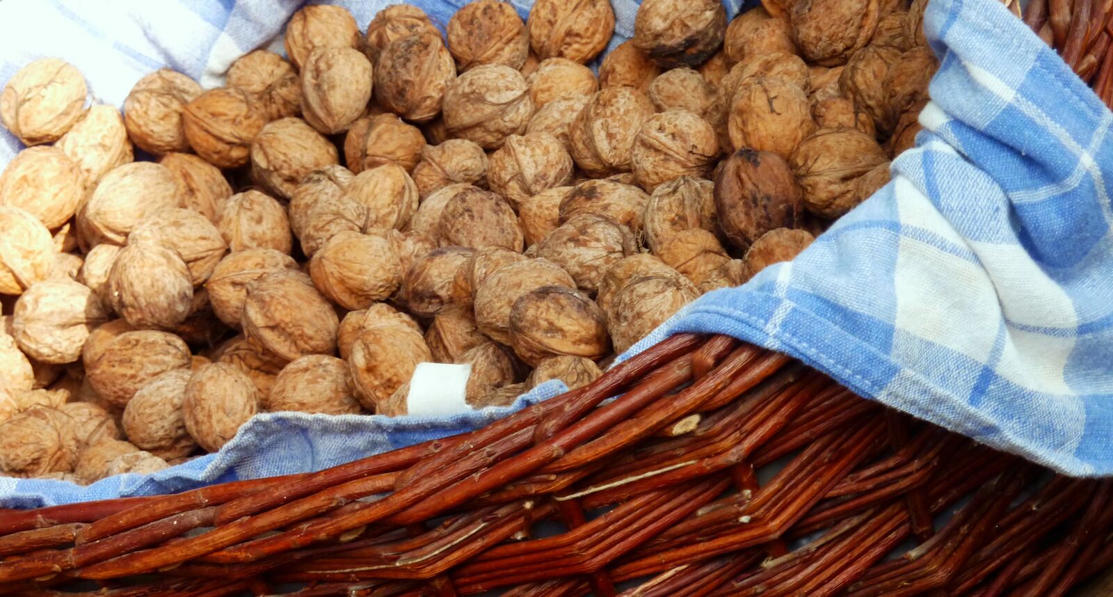 Panasonic DMC-TZ7 sample photo. Walnuts, nuts, shell photography