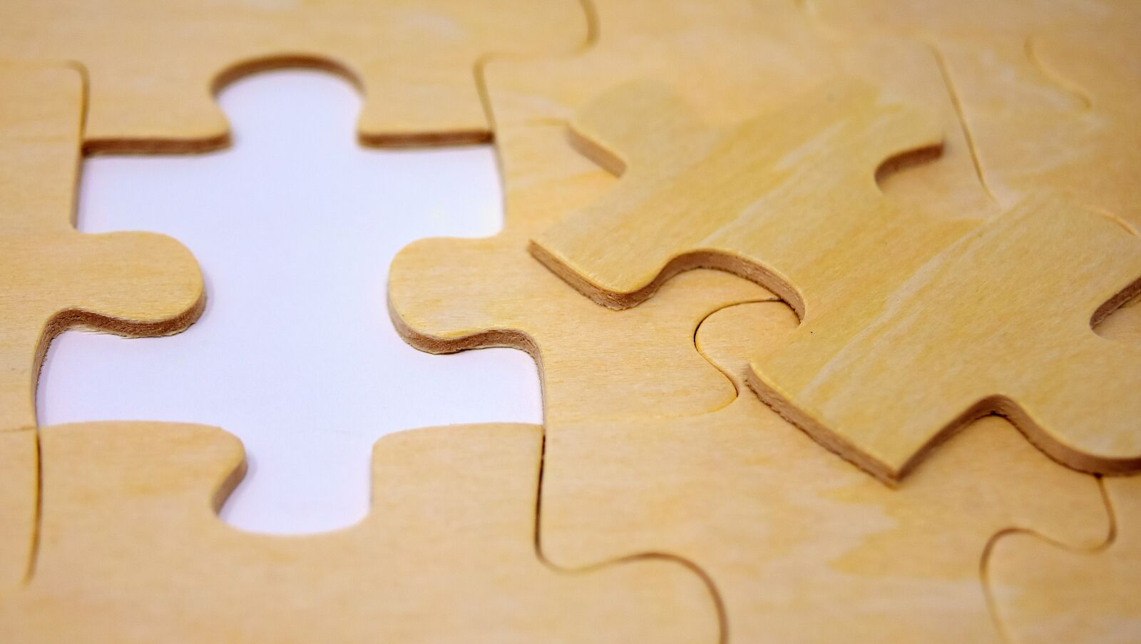 Nikon D7200 sample photo. Puzzle, last part, joining photography