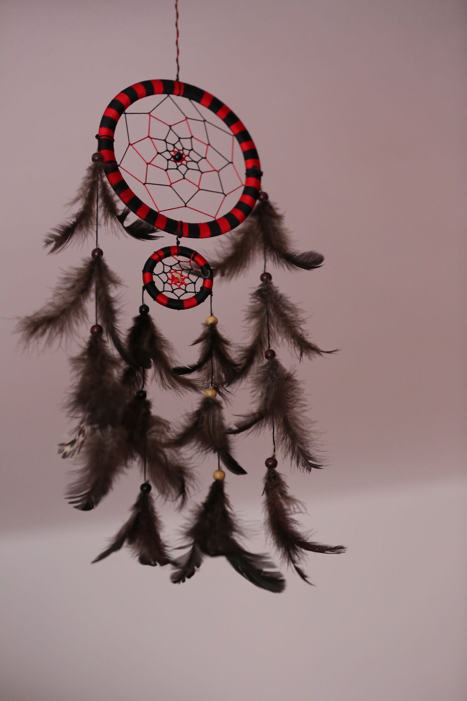 Canon EOS 5D Mark III sample photo. Dream catcher, dream, feather photography