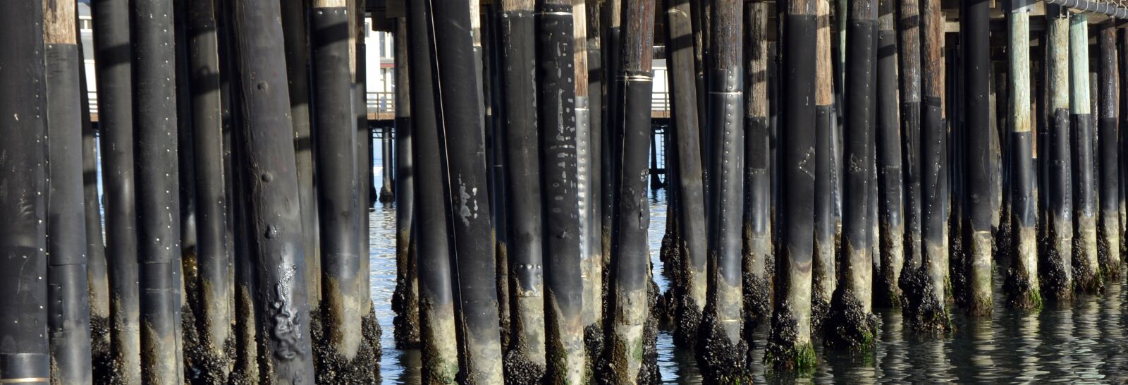 Nikon D7100 sample photo. Wooden posts, sea, sea photography