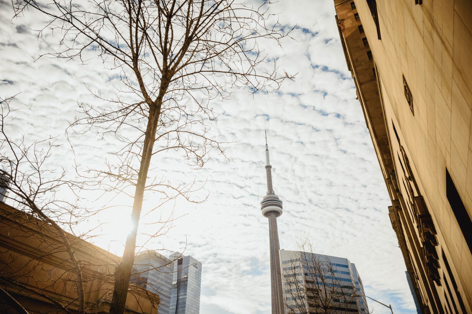 Nikon D7200 sample photo. Canada day, toronto, architecture photography
