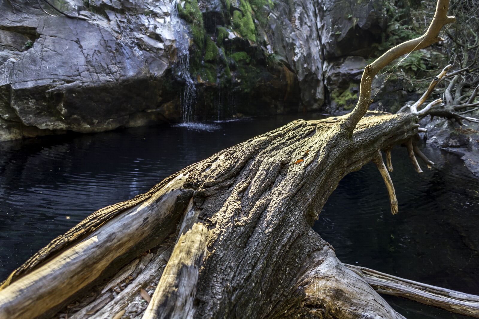 Nikon D7100 sample photo. Mountains, rio, nature photography