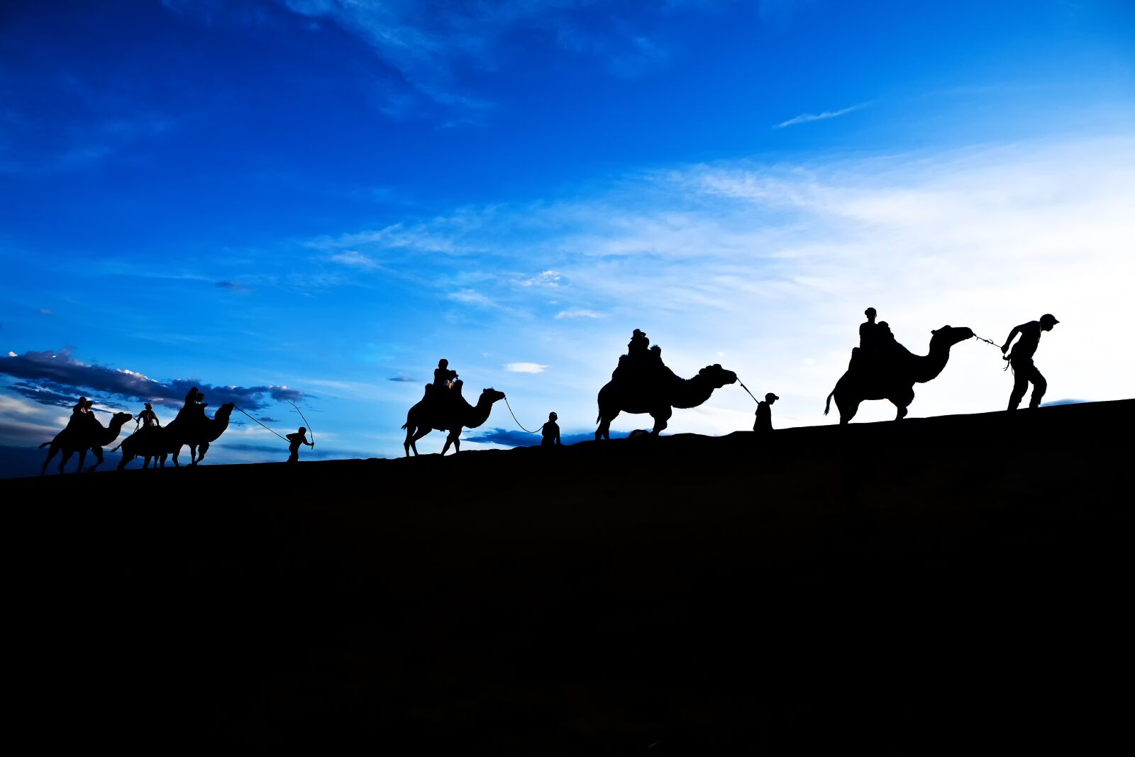 Canon EOS 5D sample photo. Camel, blue sky, travel photography