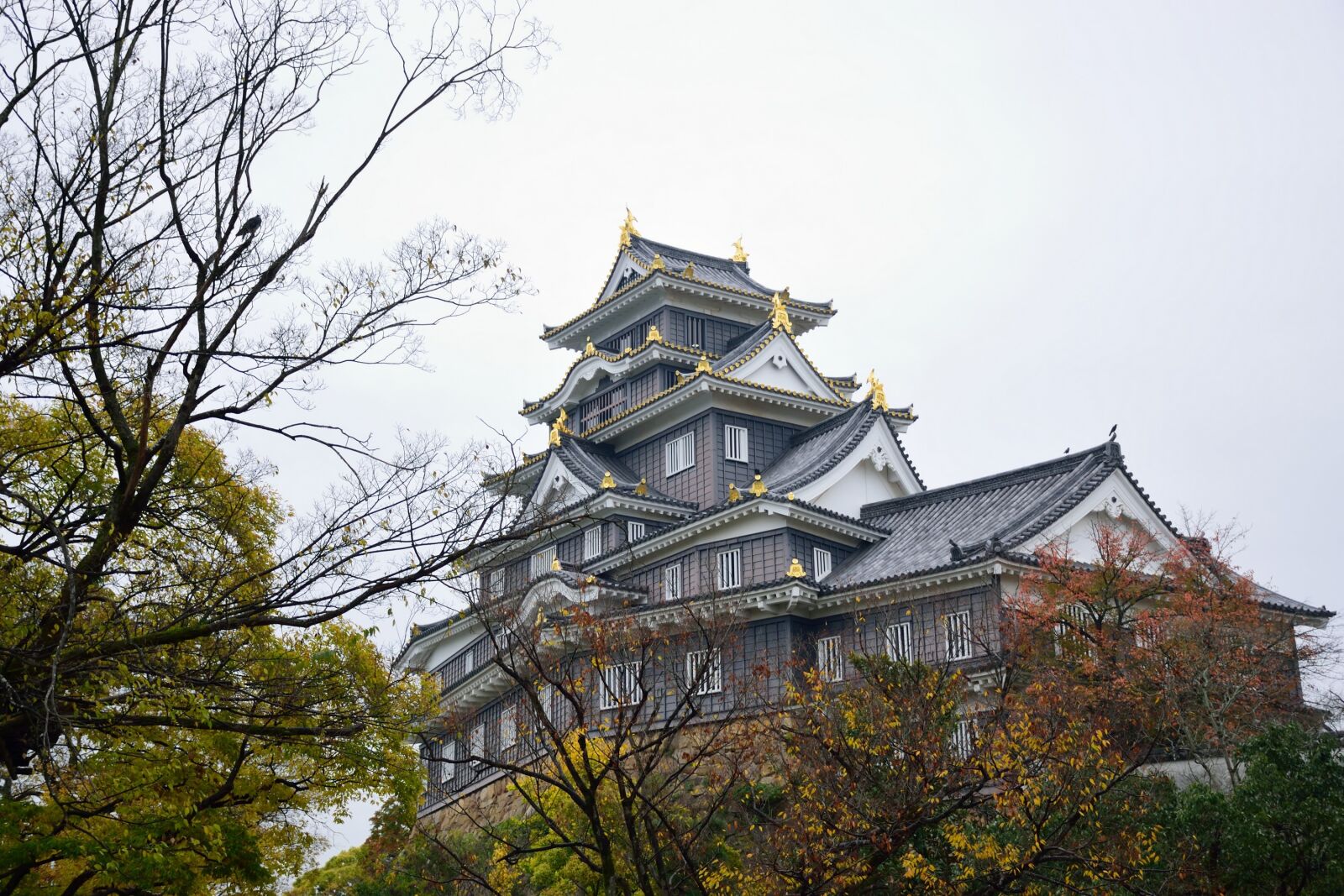 Nikon D5300 sample photo. Okayama, castle, trees photography