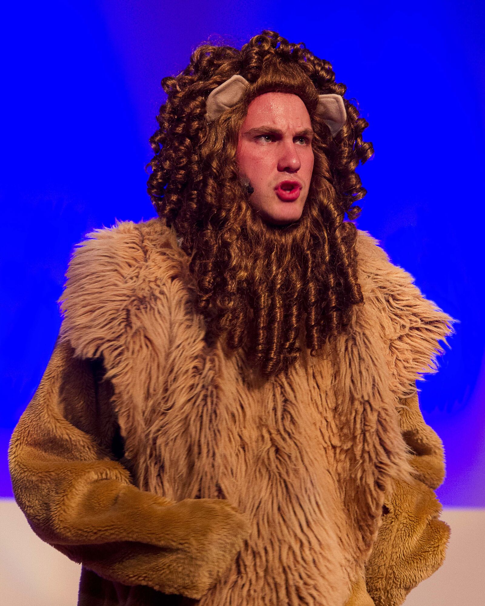 Canon EOS 7D sample photo. Wizard of oz, lion photography