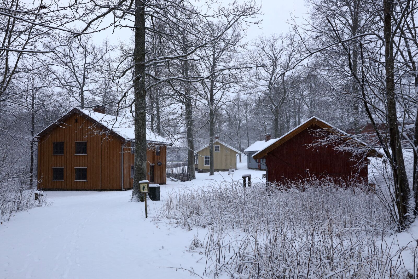 Canon EOS R + Canon EF 24-70mm F2.8L II USM sample photo. Landscape, winter, snow photography
