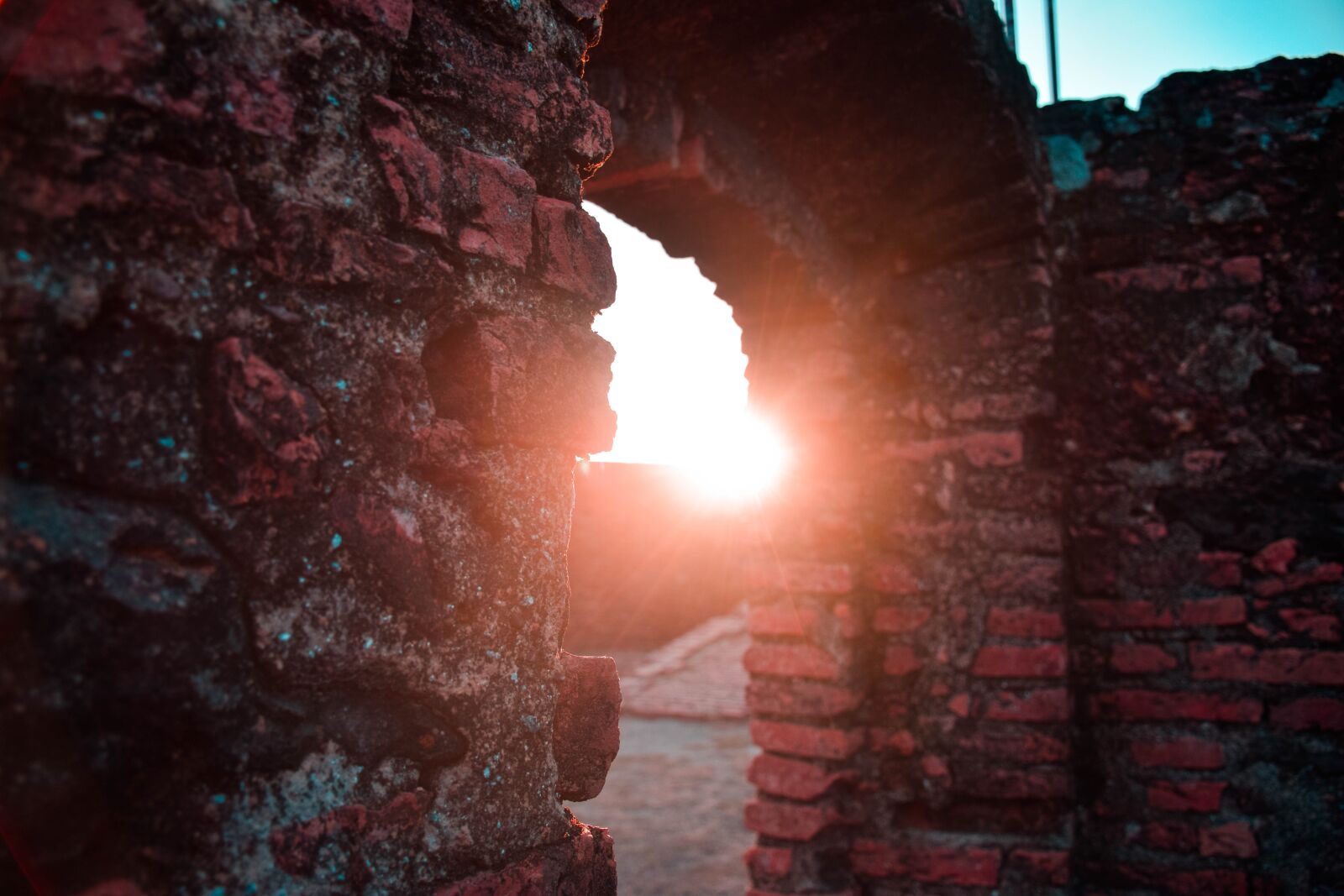 Nikon D5300 sample photo. Outdoors, no person, sol photography