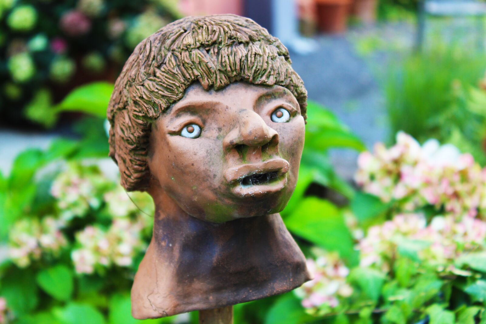 Canon EOS 1300D (EOS Rebel T6 / EOS Kiss X80) sample photo. Clay figure, head, art photography