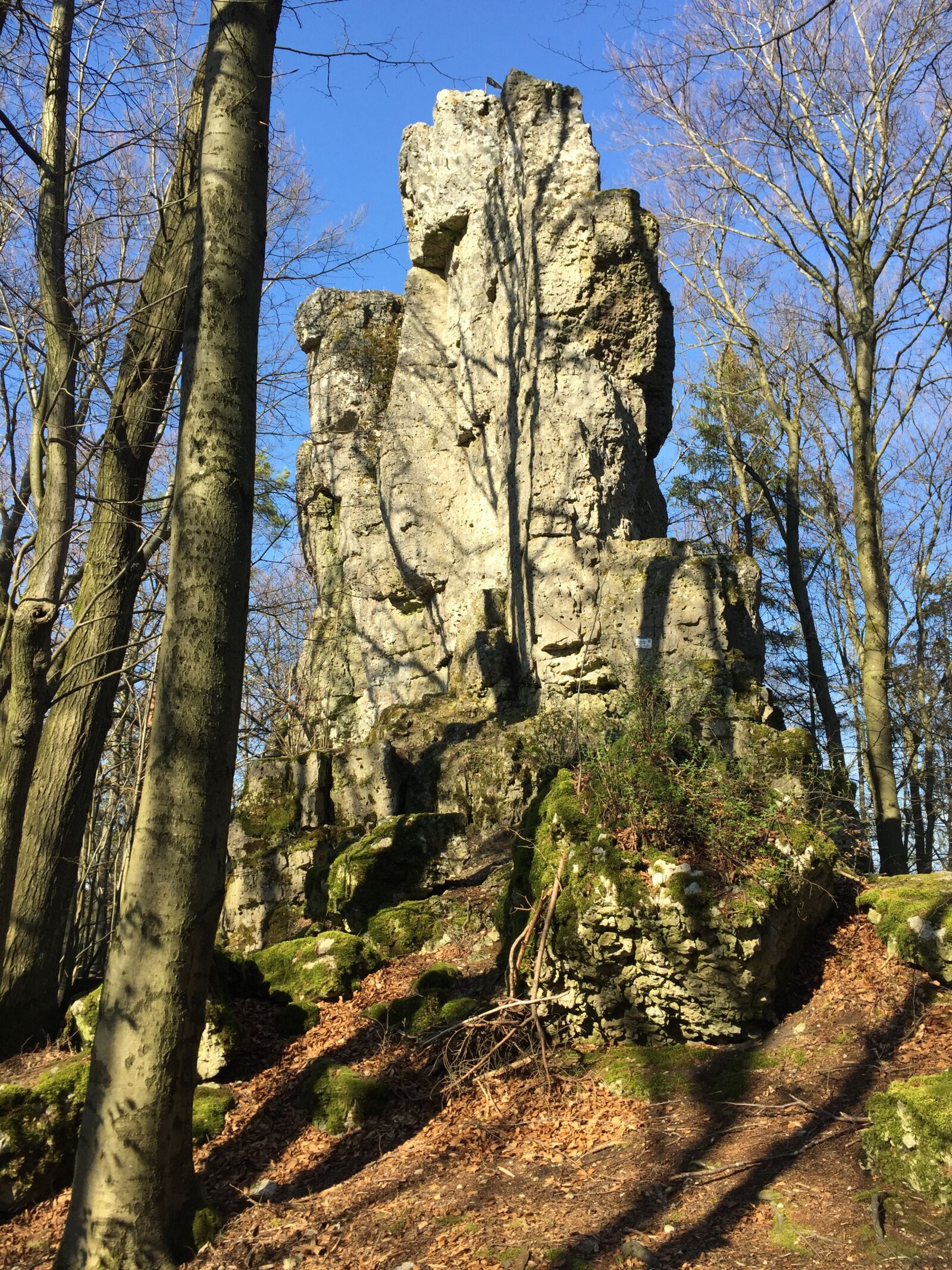 iPhone 6 back camera 4.15mm f/2.2 sample photo. Swiss francs, nature, places photography