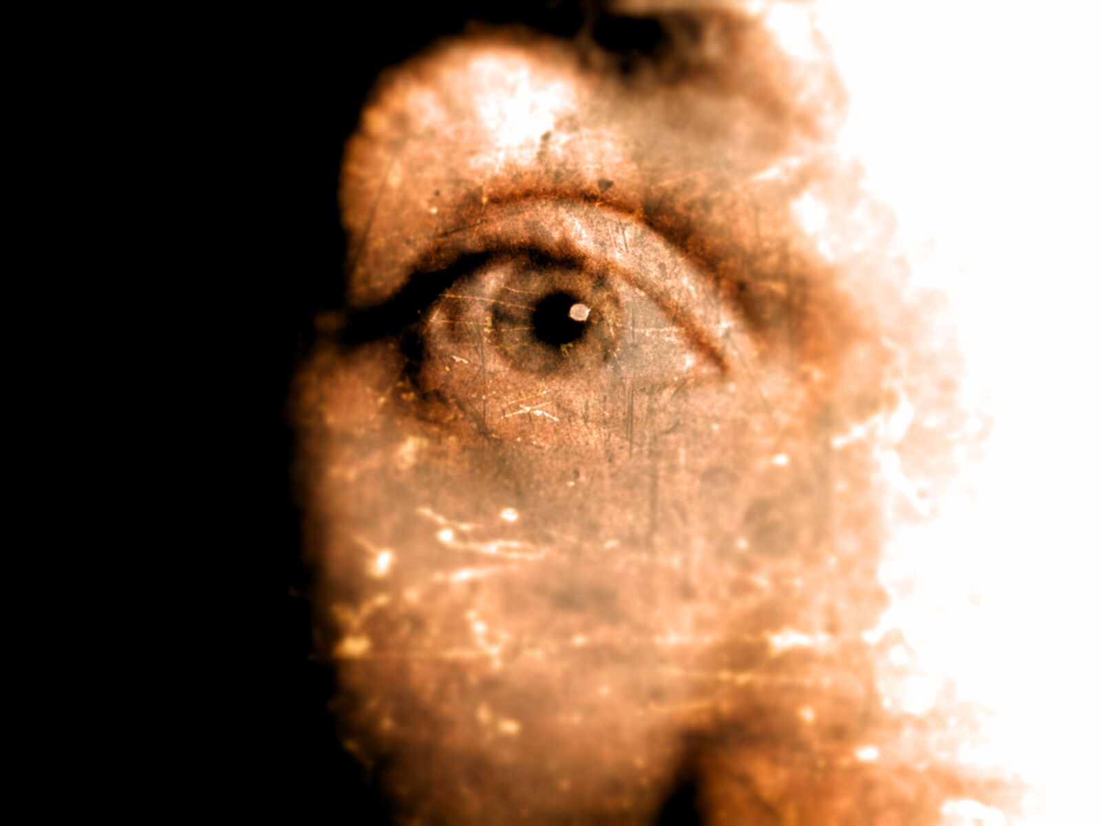 Samsung ST65 sample photo. Eye, spooky, vintage photography