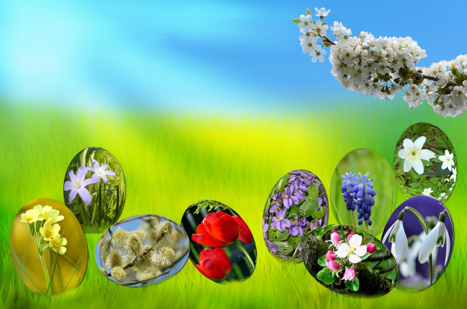 Nikon D5100 sample photo. Easter, eggs, spring photography