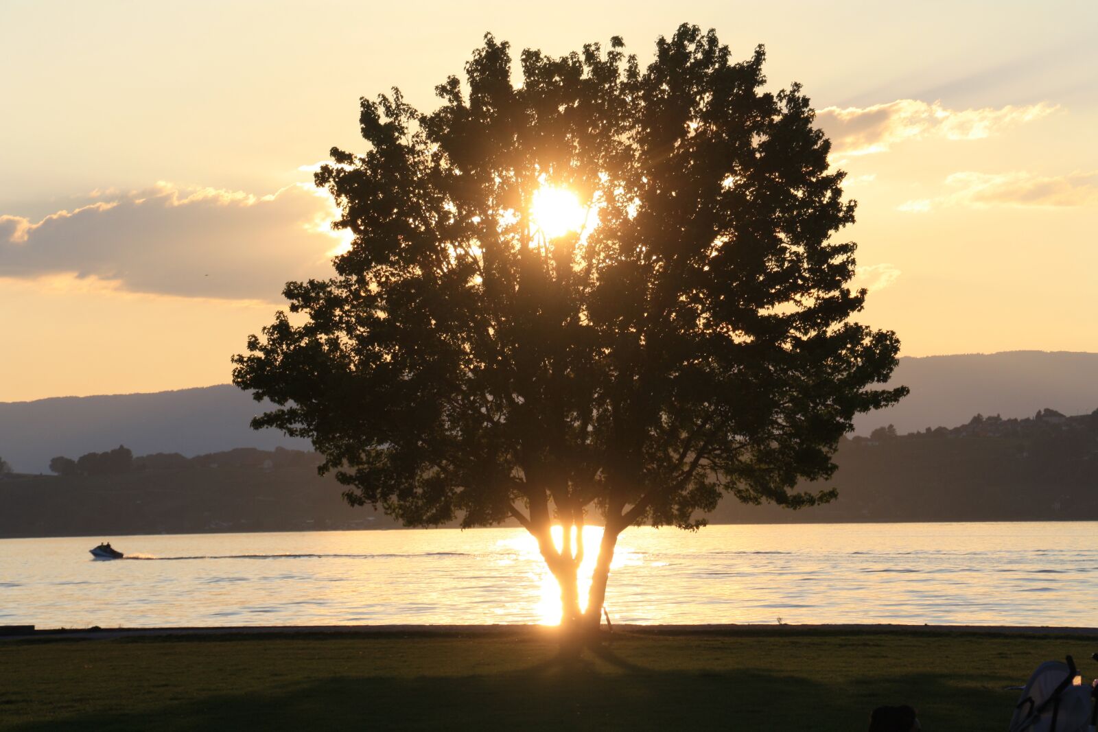 Canon EOS 1000D (EOS Digital Rebel XS / EOS Kiss F) sample photo. Simon, sunset, murten morat photography