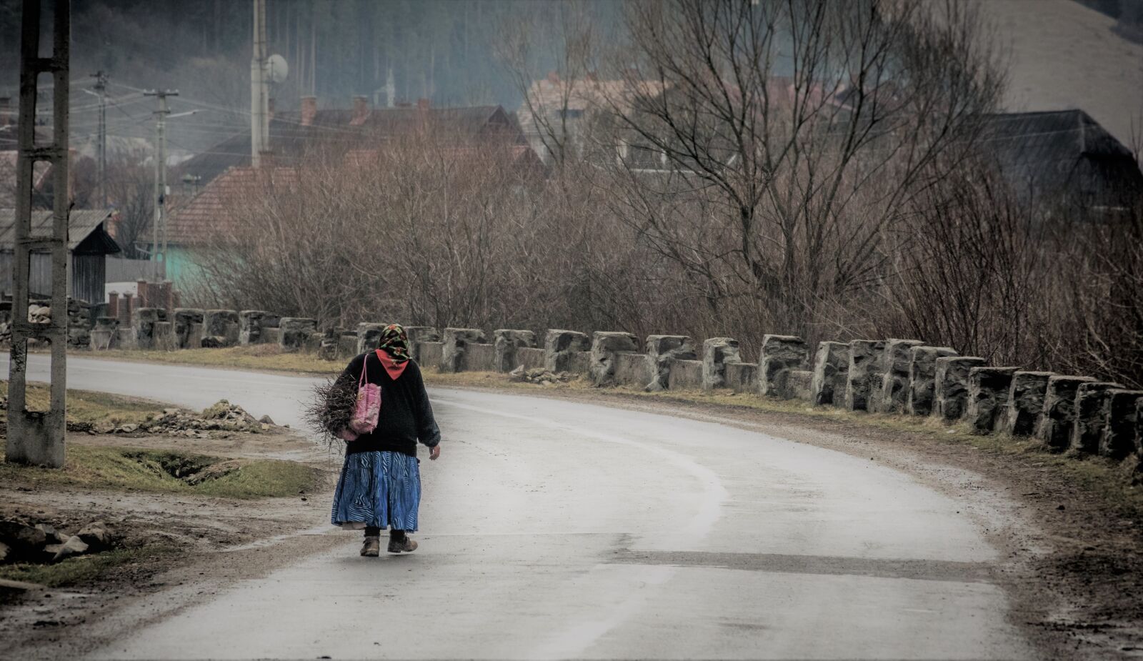 Nikon D5300 sample photo. Gypsy, road, village photography