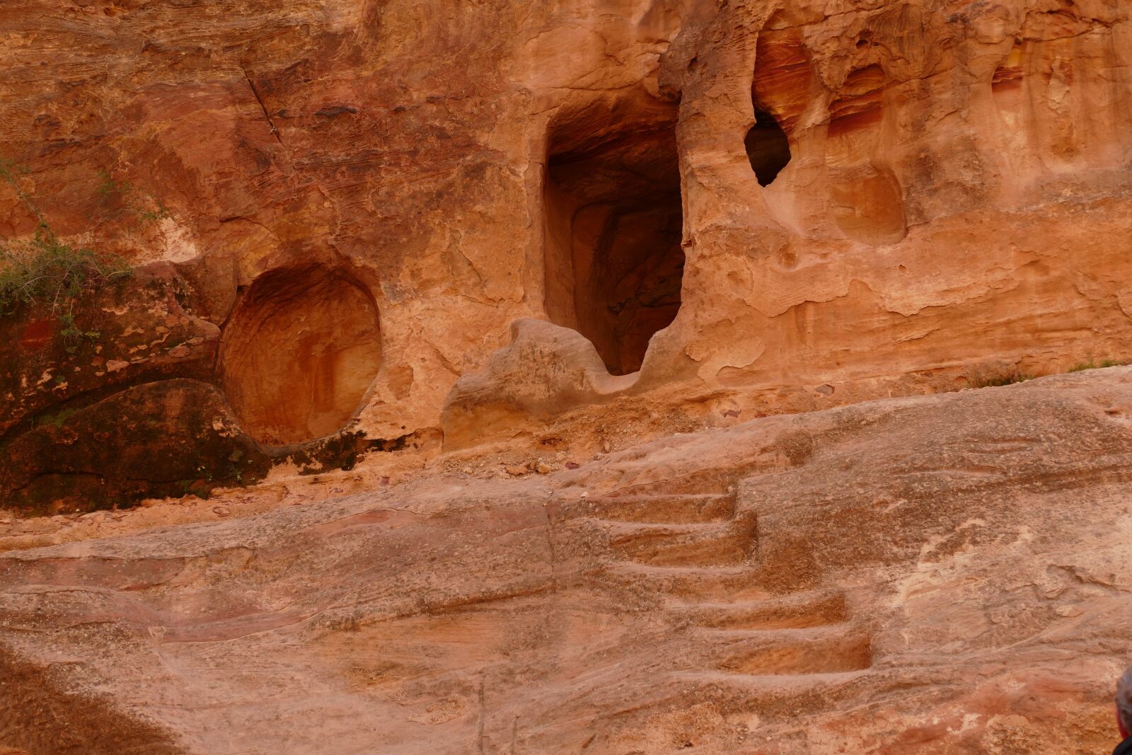 Panasonic Lumix DMC-FZ1000 sample photo. Jordan, petra, desert photography