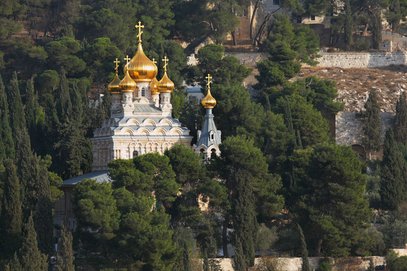 Canon EOS 5D Mark II sample photo. Israel, jerusalem, mount, of photography