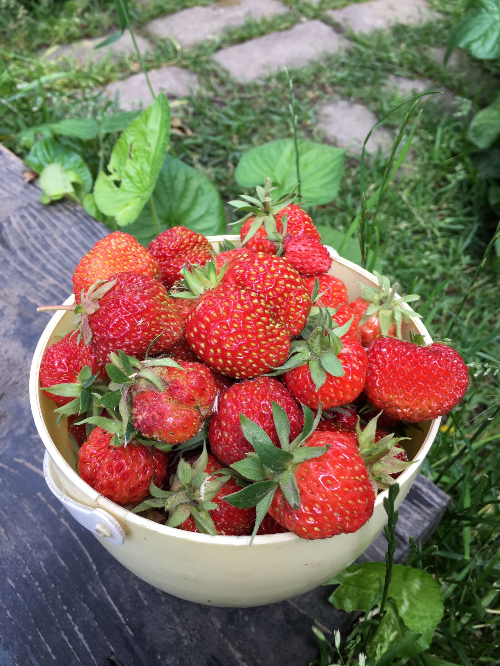 Apple iPhone 6s sample photo. Strawberry, berry, ripe photography