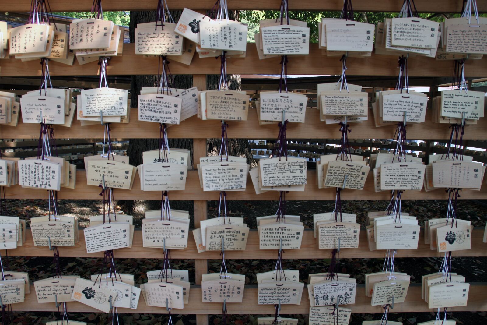 Canon EOS 7D sample photo. Wishing, tables, wooden photography