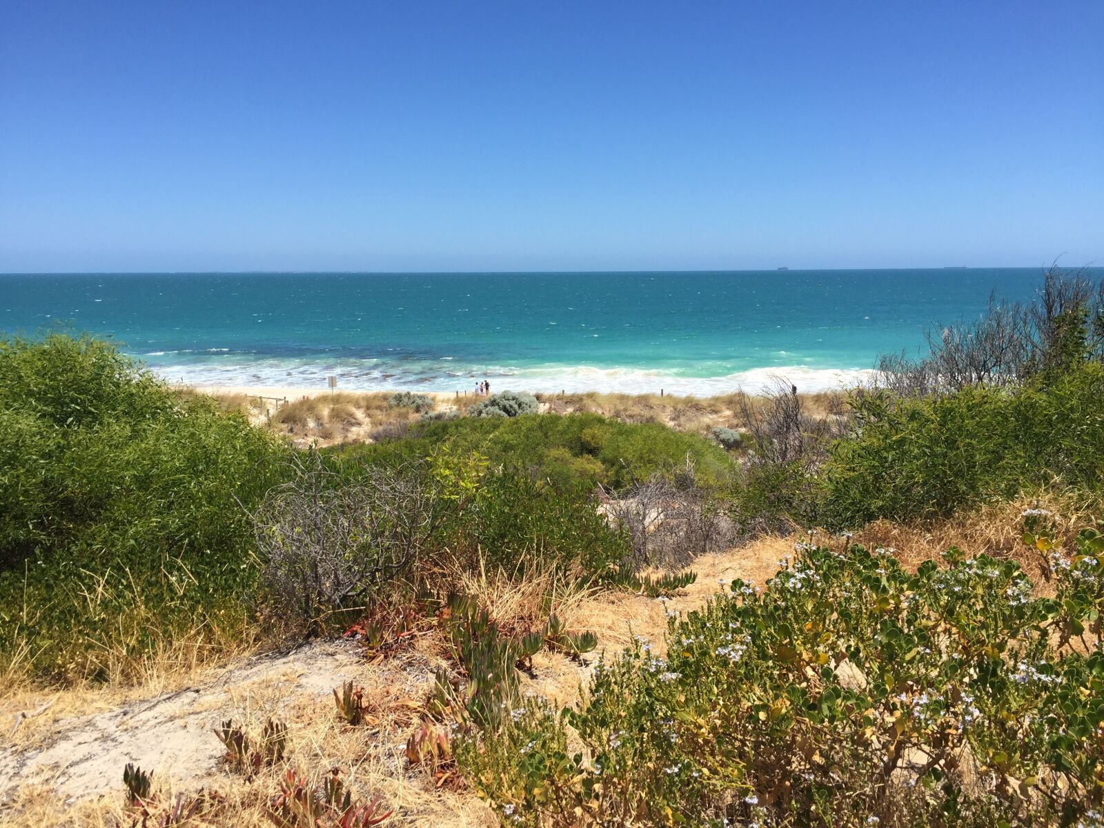 Apple iPhone 6 sample photo. Cottesloe, perth, western australia photography