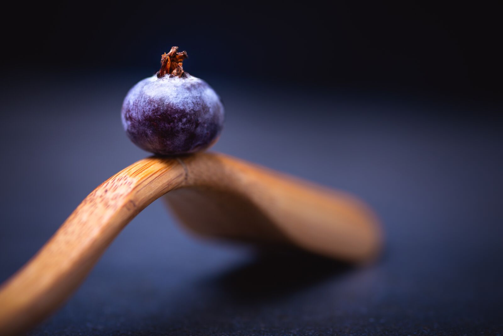 Sony a7 sample photo. Black berry, berry, healthy photography