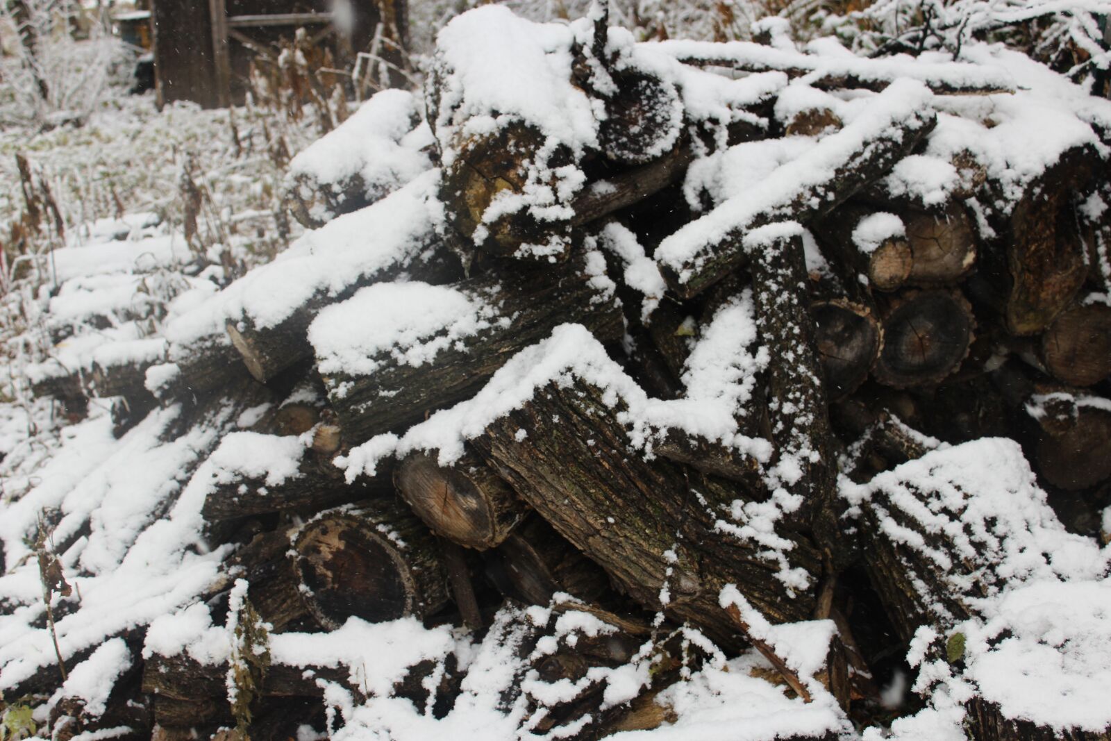 Canon EOS 1200D (EOS Rebel T5 / EOS Kiss X70 / EOS Hi) sample photo. Snow, nature, outside photography