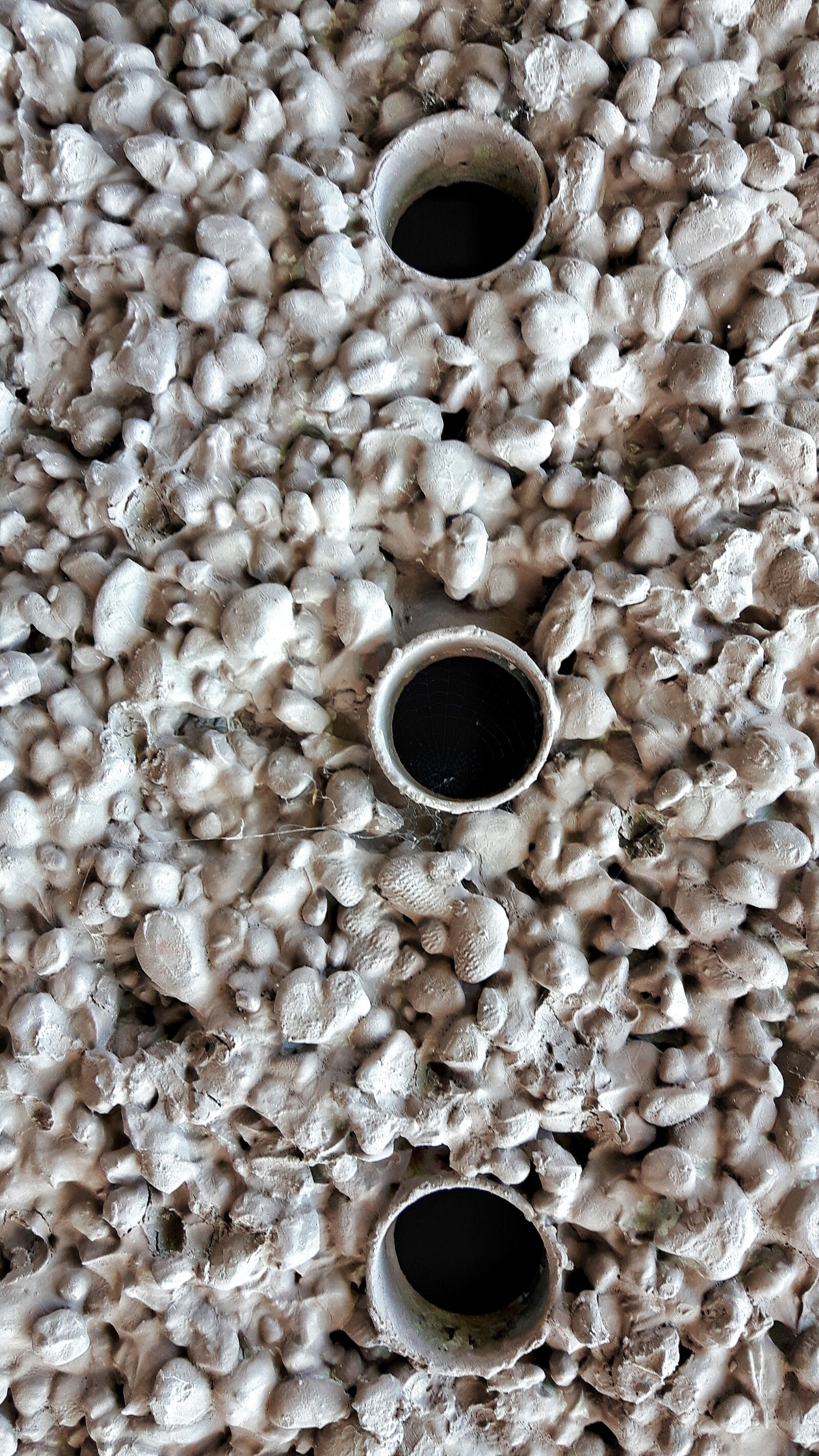 Samsung Galaxy S5 Neo sample photo. Wall, color, texture photography