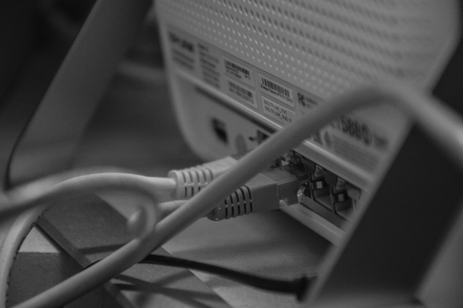 Nikon D3200 sample photo