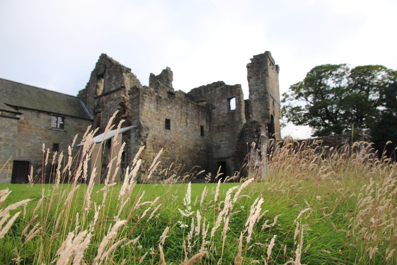 Canon EOS 700D (EOS Rebel T5i / EOS Kiss X7i) sample photo. Aberdour, castle, fife photography