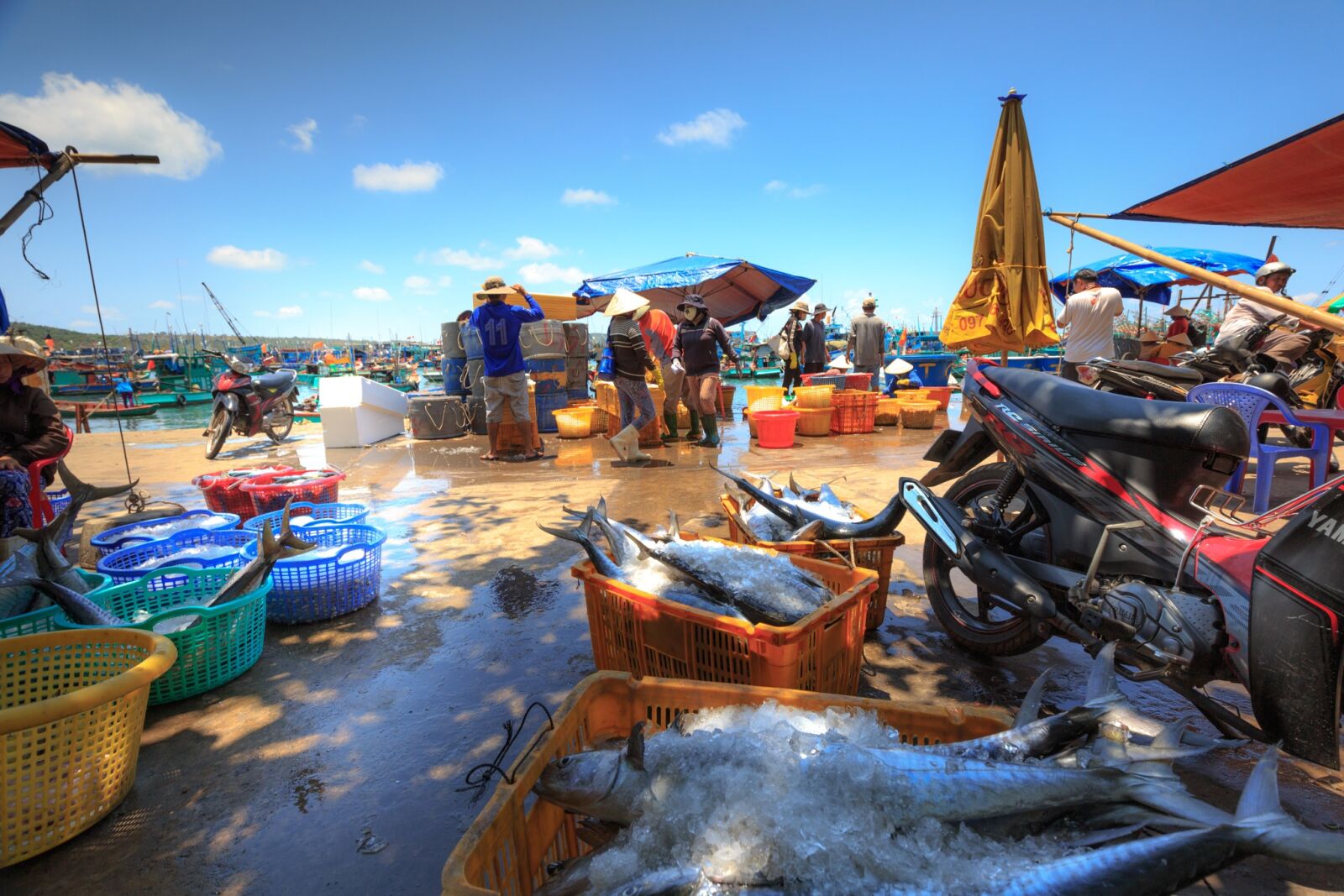 Canon EF 16-35mm F4L IS USM sample photo. Phu quoc island, the photography