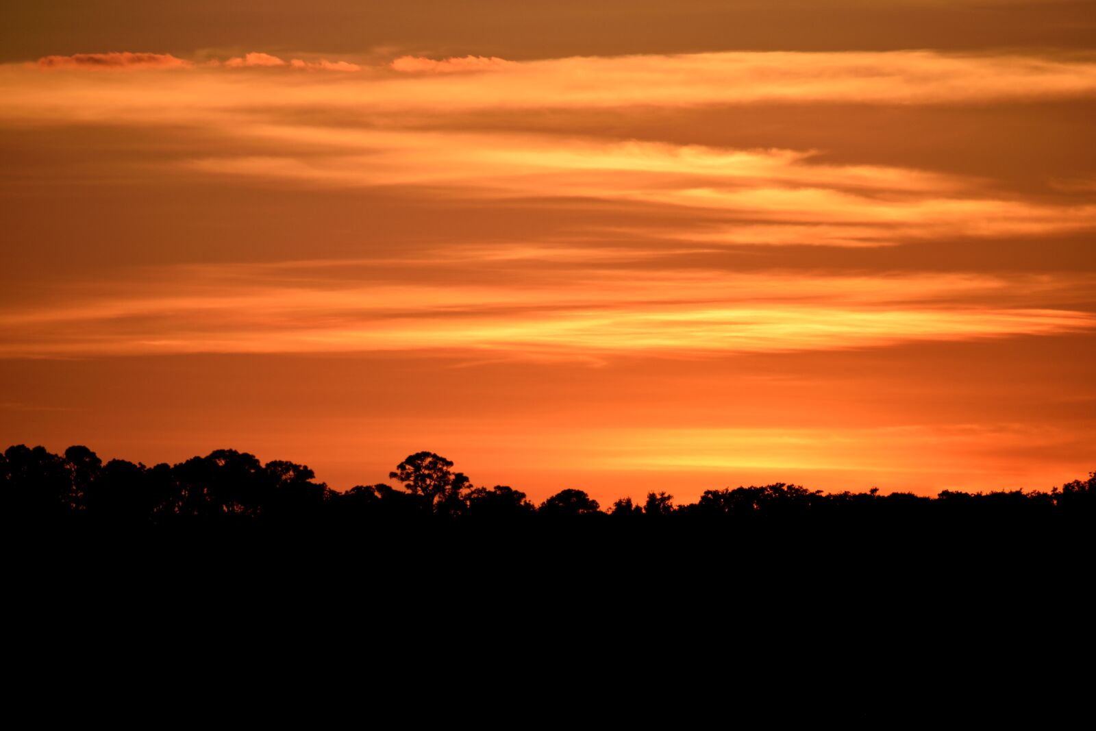 Nikon D3300 sample photo. Majestic sunset, sky, vibrant photography