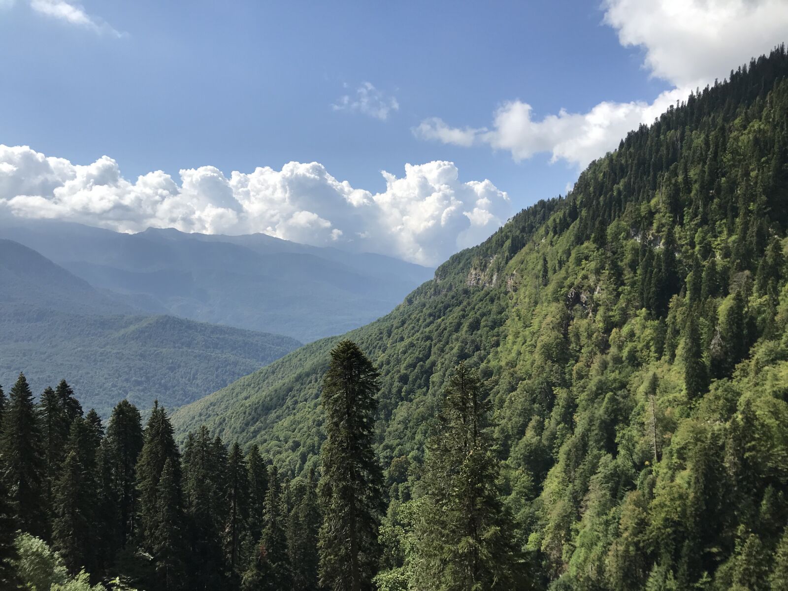 iPhone 7 back camera 3.99mm f/1.8 sample photo. Mountains, forest in the photography
