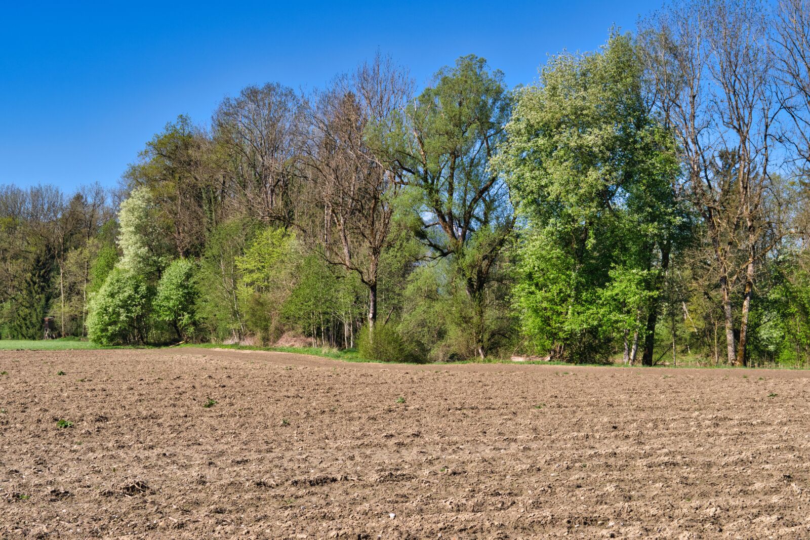 Nikon D7500 sample photo. Field, arable, agriculture photography