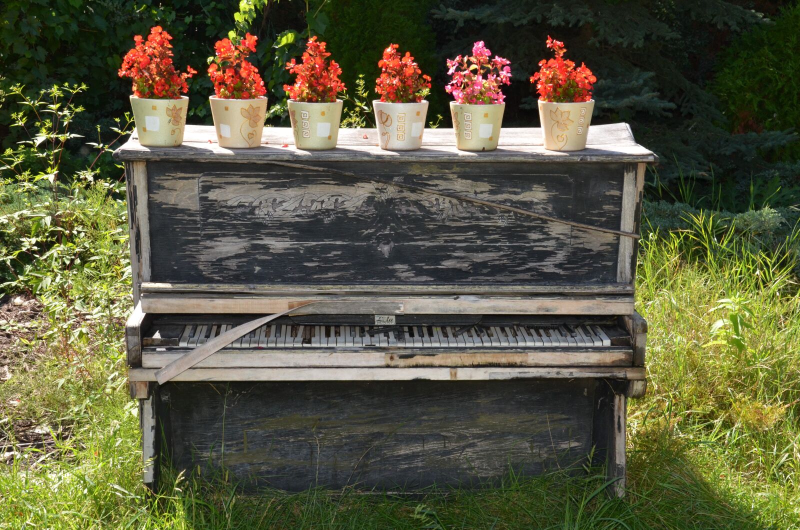 Nikon D7000 sample photo. No one, outdoors, wood photography