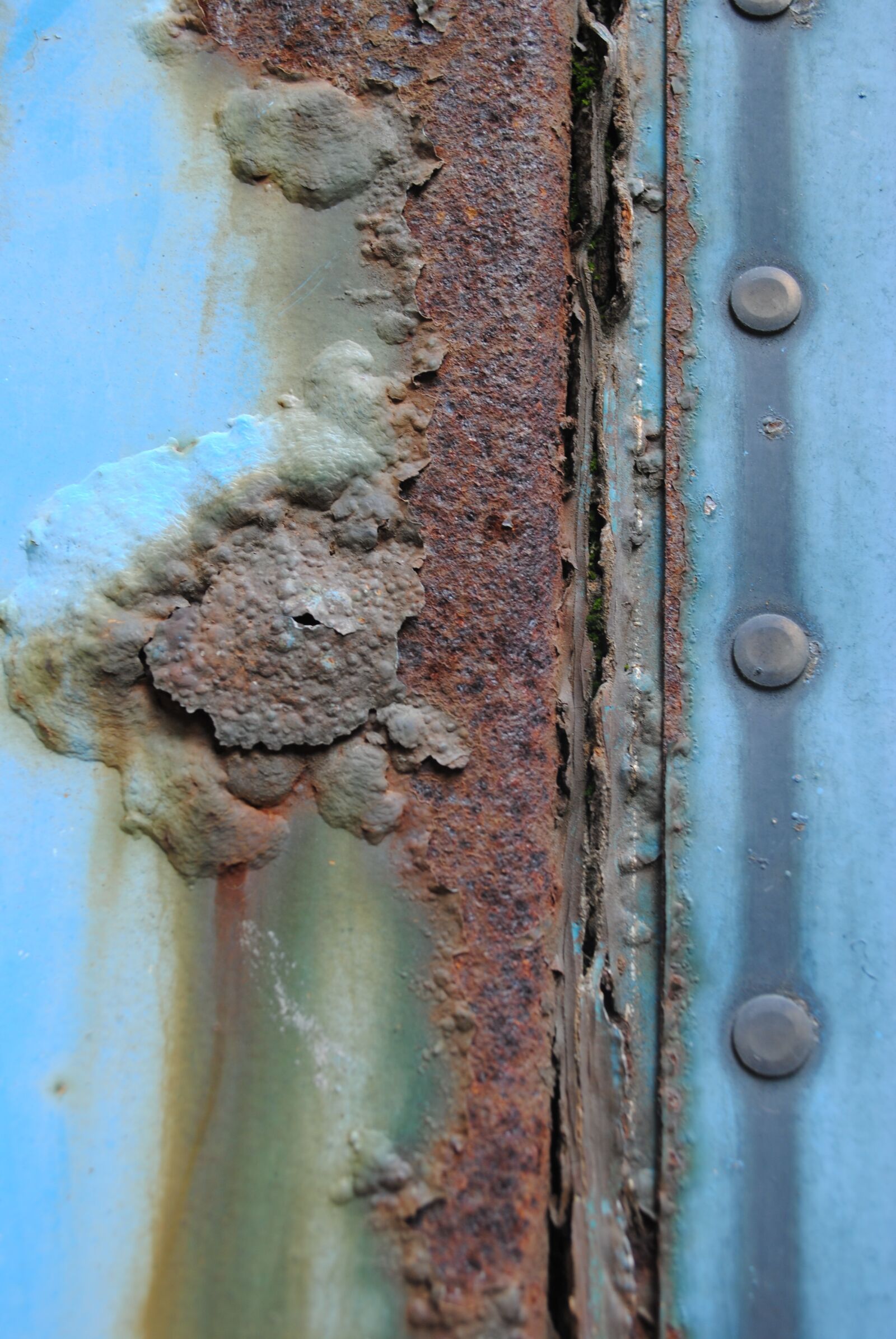 Nikon D3000 sample photo. Texture, rust, brown photography