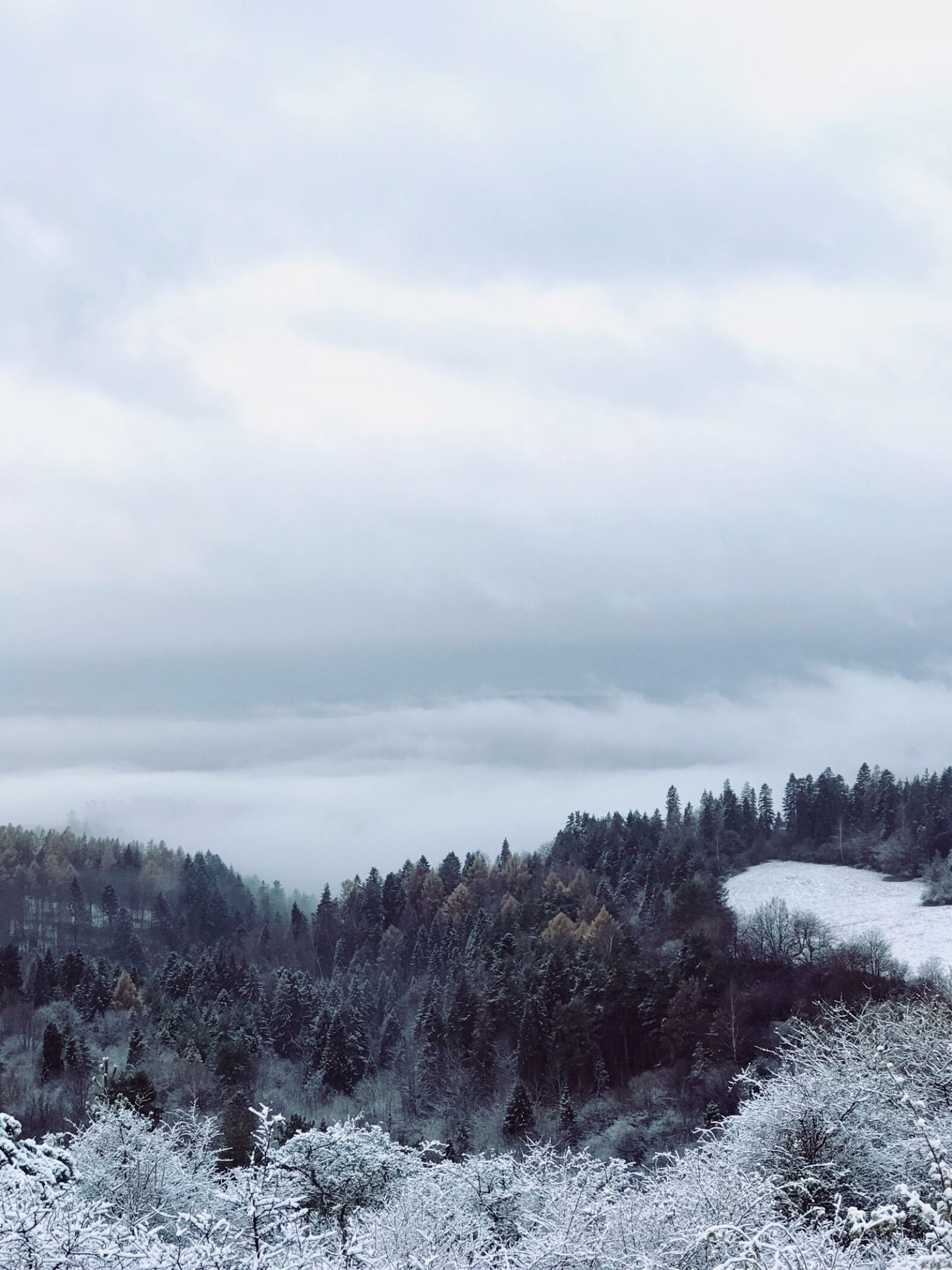Apple iPhone 7 Plus sample photo. Autumn, cloudy, sky, fog photography