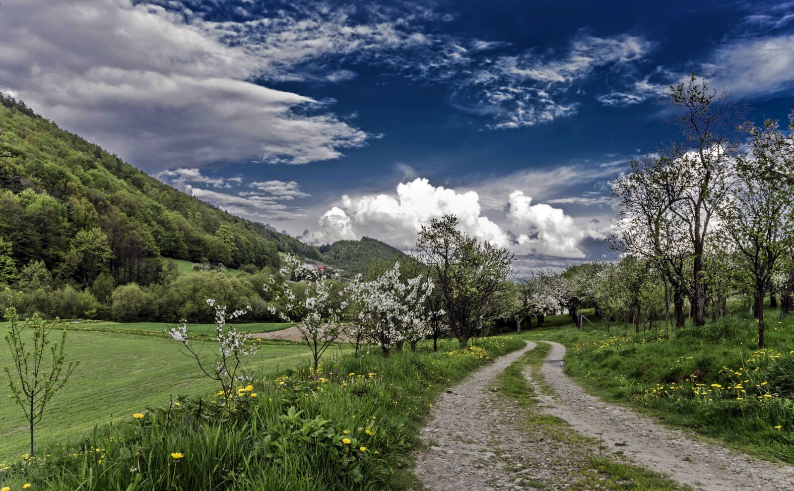 Nikon D5100 sample photo. Spring, nature, landscape photography