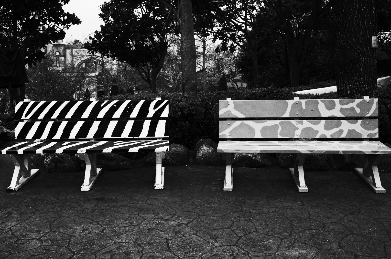 Ricoh GR + GR Lens sample photo. Bench, black, and, white photography