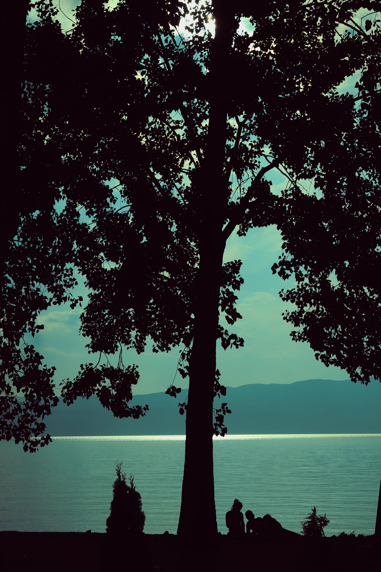 Nikon D3300 sample photo. Silhouette, nature, summer photography