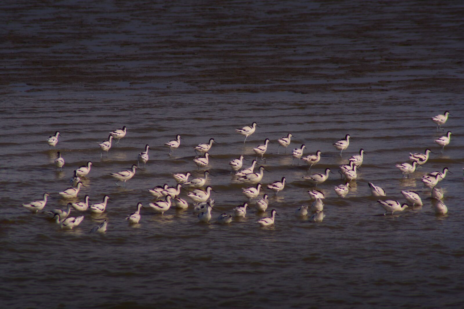 Pentax K-70 sample photo. Watts, north sea, east photography
