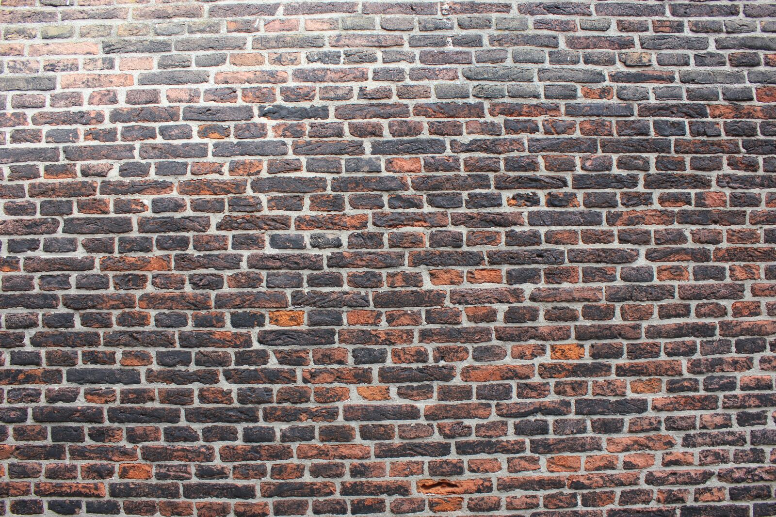 Canon EOS 550D (EOS Rebel T2i / EOS Kiss X4) sample photo. Wall, texture, background photography