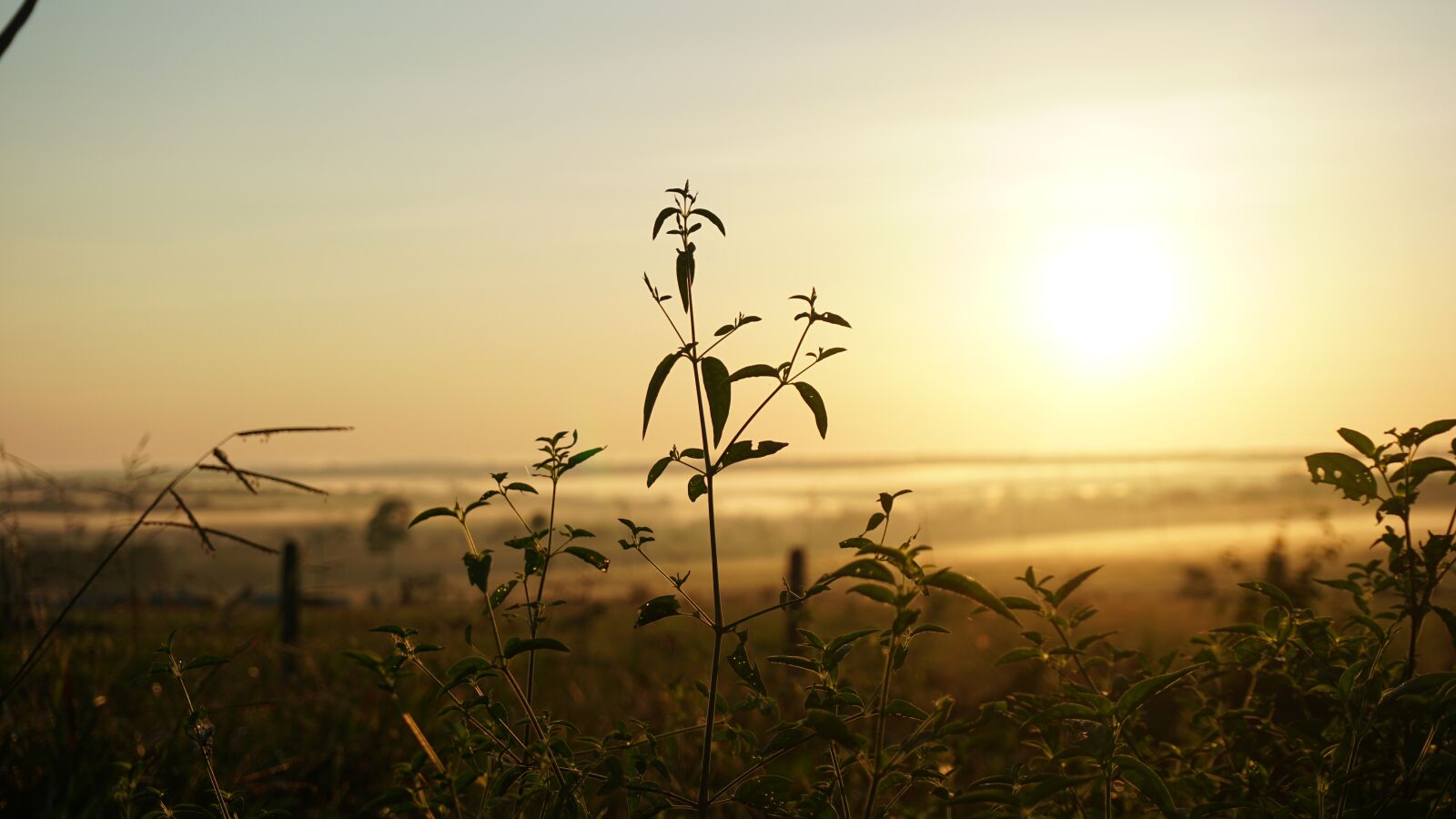 Sony a6300 sample photo. Sunrise, sol, landscape photography