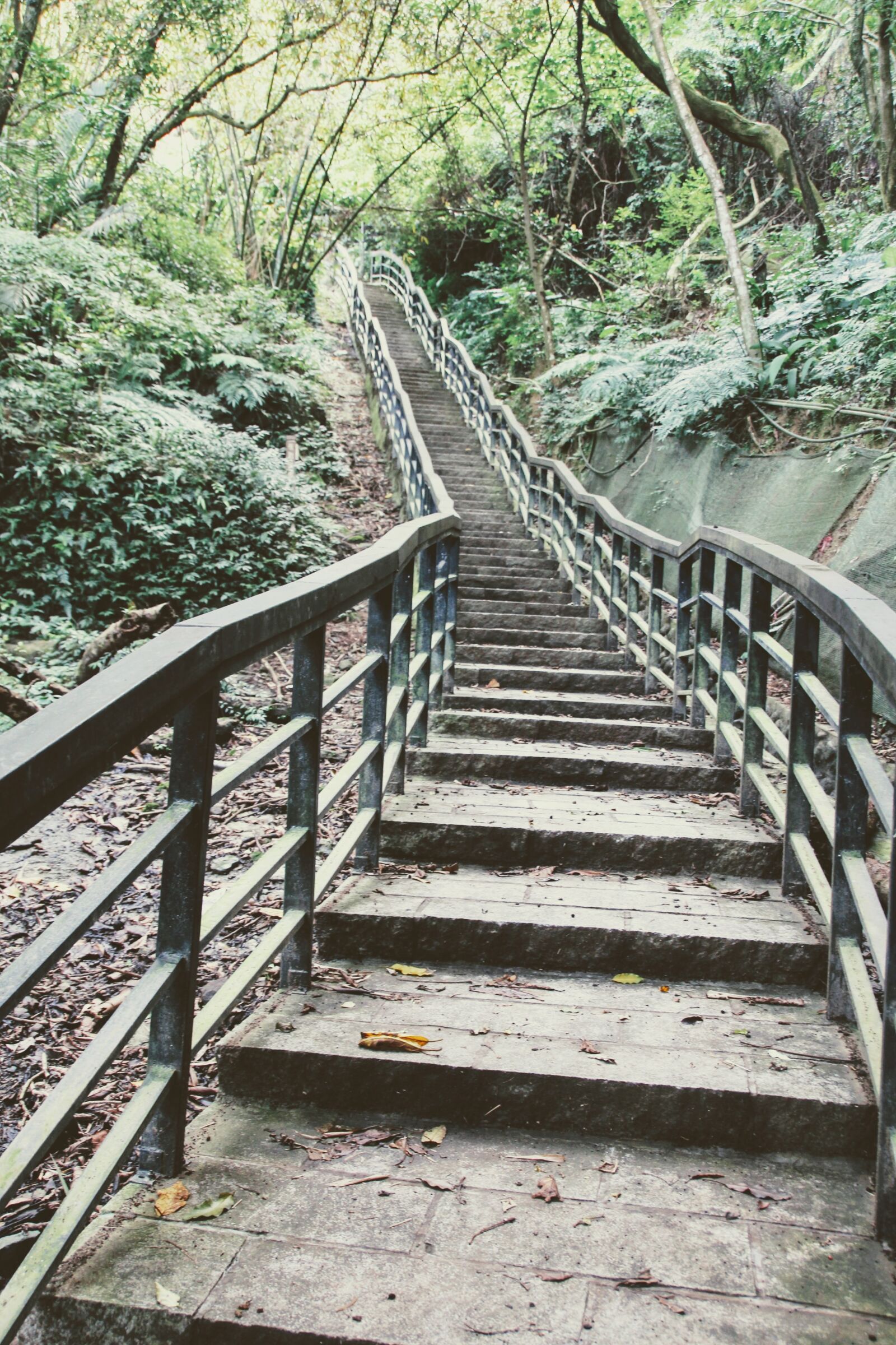 Canon EOS 600D (Rebel EOS T3i / EOS Kiss X5) sample photo. Stairs, staircase, gradually photography