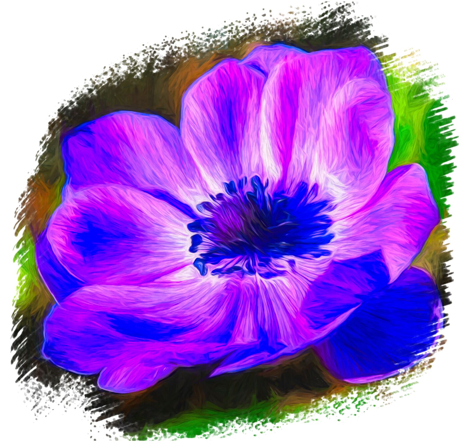 Nikon D80 sample photo. Flower, floral, decorative photography