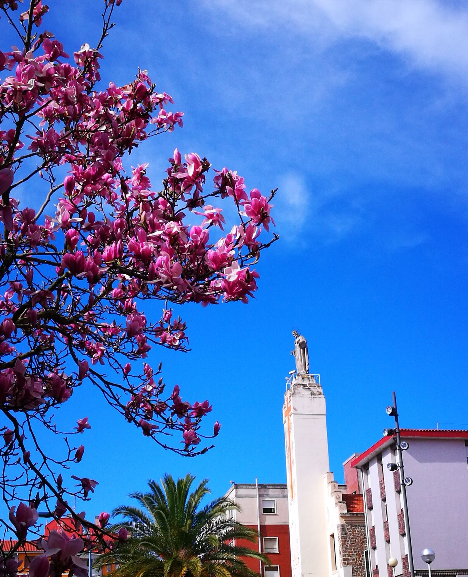 HUAWEI P9 sample photo. Sky, magnolia, statue photography
